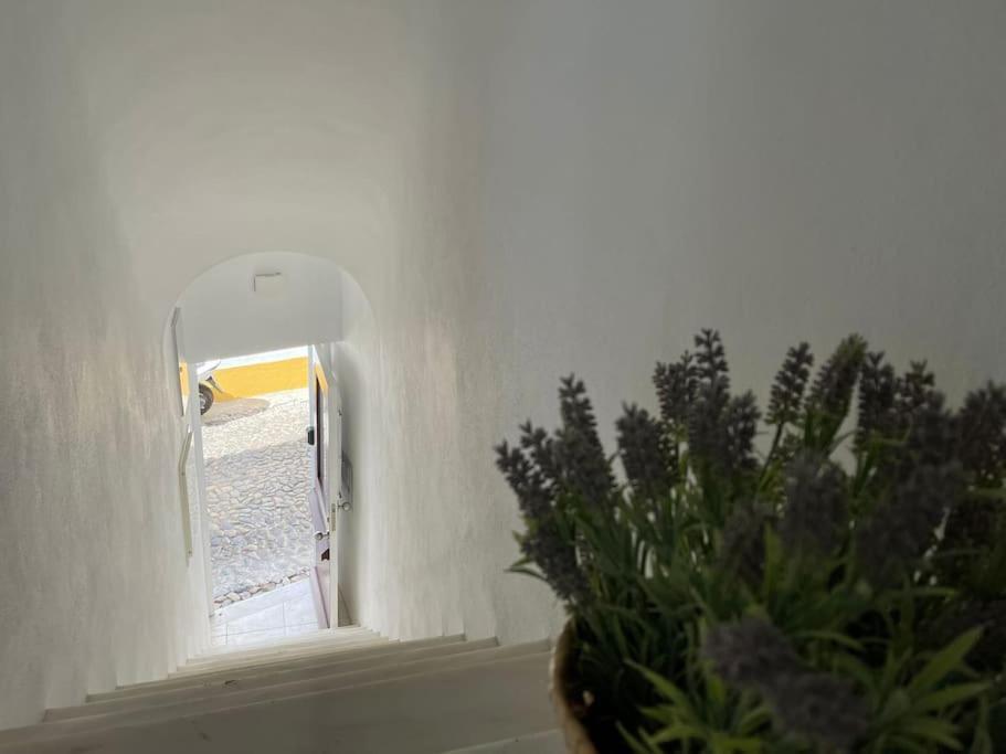 شقة Casa Da Oliveira ايفورا المظهر الخارجي الصورة